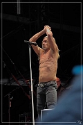 P7290304 Iggy Pop 29-07-2016 Zz (p)